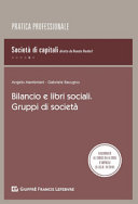 Copertina  [5]: Bilancio e libri sociali. Gruppi di società